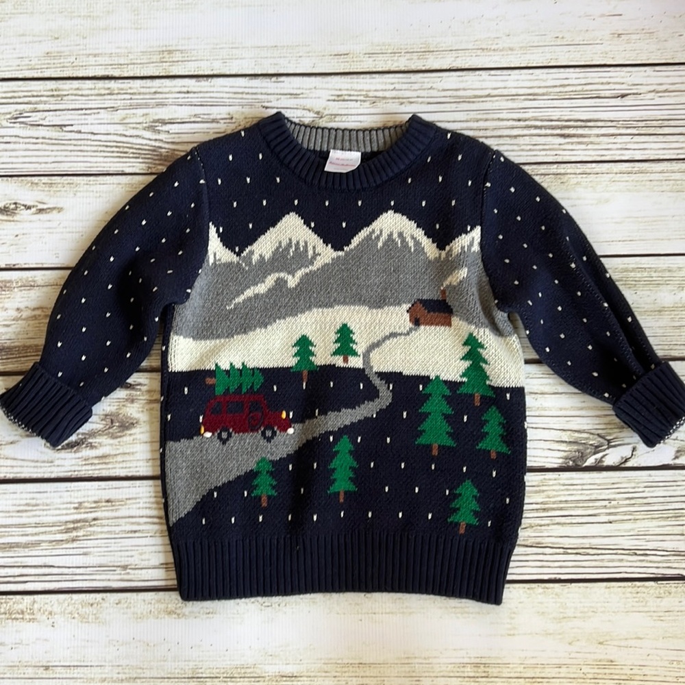 Hanna Andersson sweater